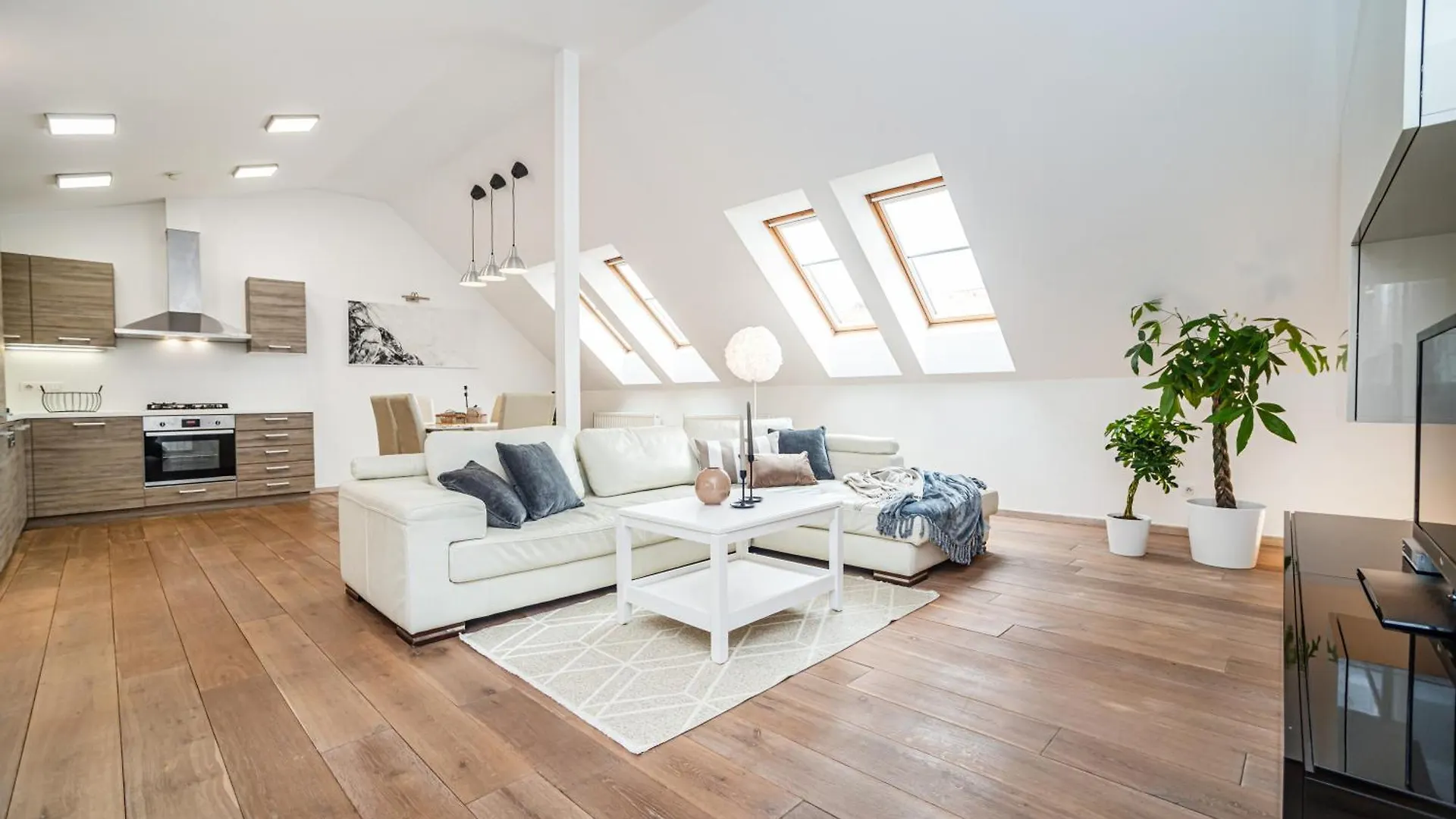 Large And Stylish Apartment In 프라하